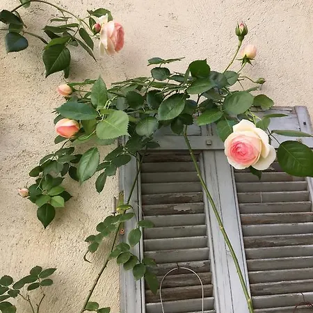 L'amelier Apartamento *